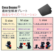 画像をギャラリービューアに読み込む, Cesa Beams 最新モデル 3mm　解凍プレート　急速解凍　 冷凍食品対応　業務用　家庭用 粗熱｜Cesa Beams（セサビームス）
