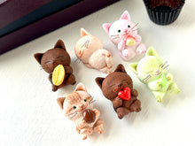 画像をギャラリービューアに読み込む, チョコレートみたいな猫さん６匹セット｜手ノヒラ堂（テノヒラドウ）
