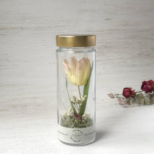 画像をギャラリービューアに読み込む, チューリップのボトルフラワー｜Infini（アンフィニ）
