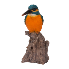 画像をギャラリービューアに読み込む, 切り株に立つ鳴くカワセミ｜WooBia（ウービア）
