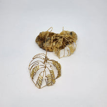 画像をギャラリービューアに読み込む, Monstera｜neko（ネコ）
