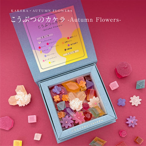 harapecolab １０％OFF〔期間限定〕　こうぶつのカケラ　~Autumn flowers~｜ハラペコラボ