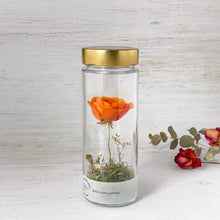 画像をギャラリービューアに読み込む, ラナンキュラスのボトルフラワー｜Infini（アンフィニ）
