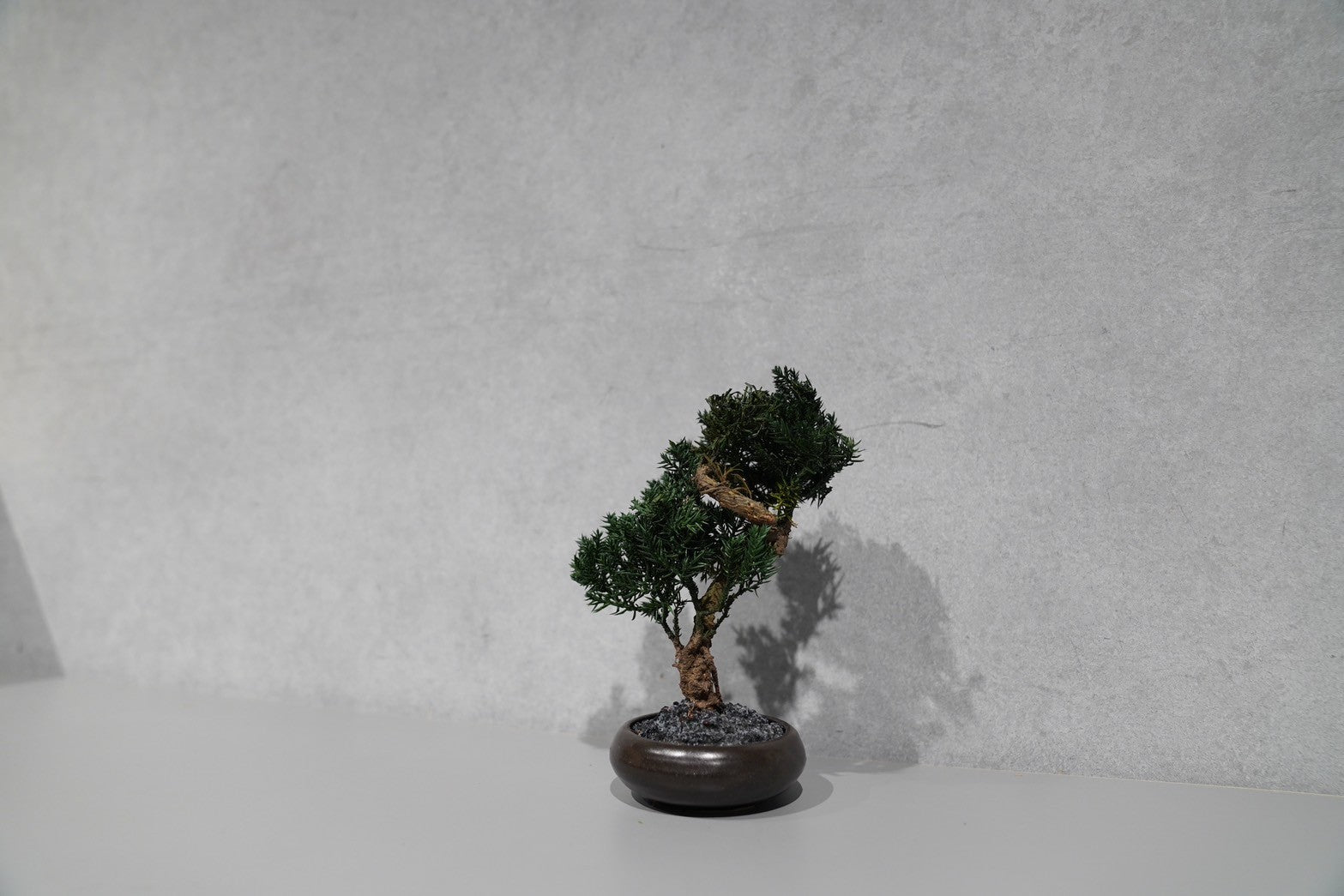 TOUFU TOKYO – CHOOSEBASE SHIBUYA