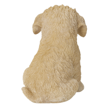 画像をギャラリービューアに読み込む, お座り トイプードル｜WooBia（ウービア）
