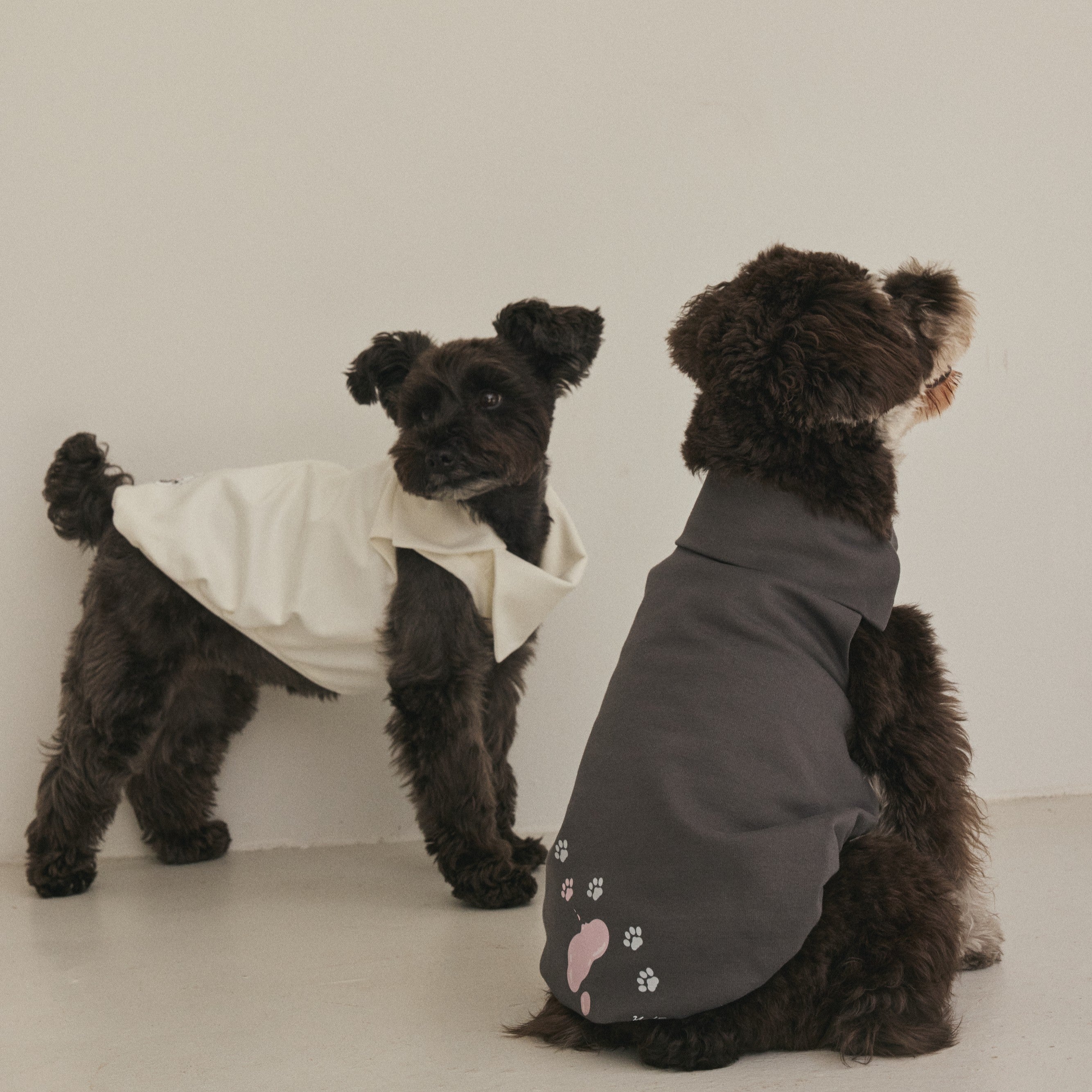 SIDE NECK PULLOVER（犬服）【INUS x Motoki Shiozawa special collaboretion】｜INUS（イヌス）