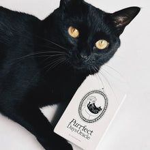 画像をギャラリービューアに読み込む, SZIAOREO Purrfect Oracle Deck｜SZIAOREO ARTWORKS（シアオレオアートワークス）
