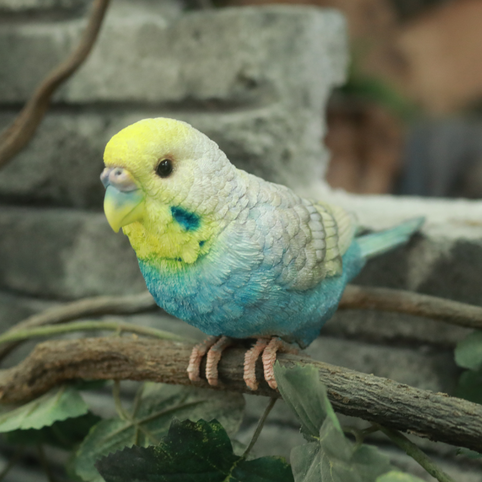 WooBia 縁飾り　水色セキセイインコ｜WooBia（ウービア）