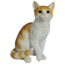 画像をギャラリービューアに読み込む, 右向きお座り茶トラ白猫（中）｜WooBia（ウービア）
