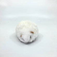 画像をギャラリービューアに読み込む, ベビーアルパカ100％ 手作りぬいぐるみ（モルモット）白　ペルー職人仕立て・一点もの｜RUNA SHOP（ルナショップ）
