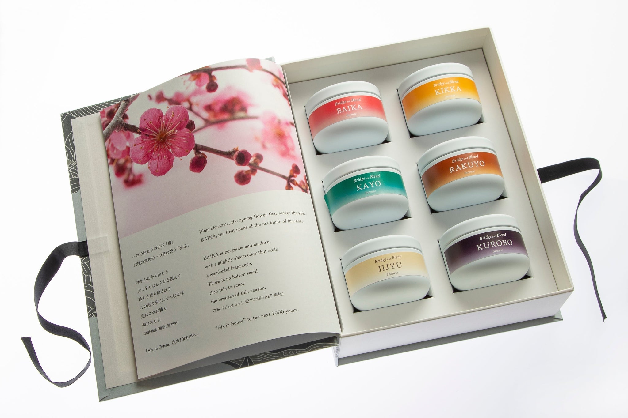 センスオブブリッジ Sense of bridge(センスオブブリッジ) Amazon.co