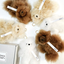 画像をギャラリービューアに読み込む, 【キーホルダー】 アルパカベア  ぬいぐるみ（BOX付） ｜Alpaca Bear&#39;s（アルパカベアーズ）
