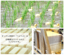 画像をギャラリービューアに読み込む, 【h.LAB（エイチラボ）】h.LAB®︎ ライスエッセンスキューブ S｜TSUMUGU life-stance（ツムグライフスタンス）
