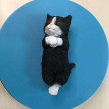 画像をギャラリービューアに読み込む, へそ天　ハチワレ黒白猫｜WooBia（ウービア）

