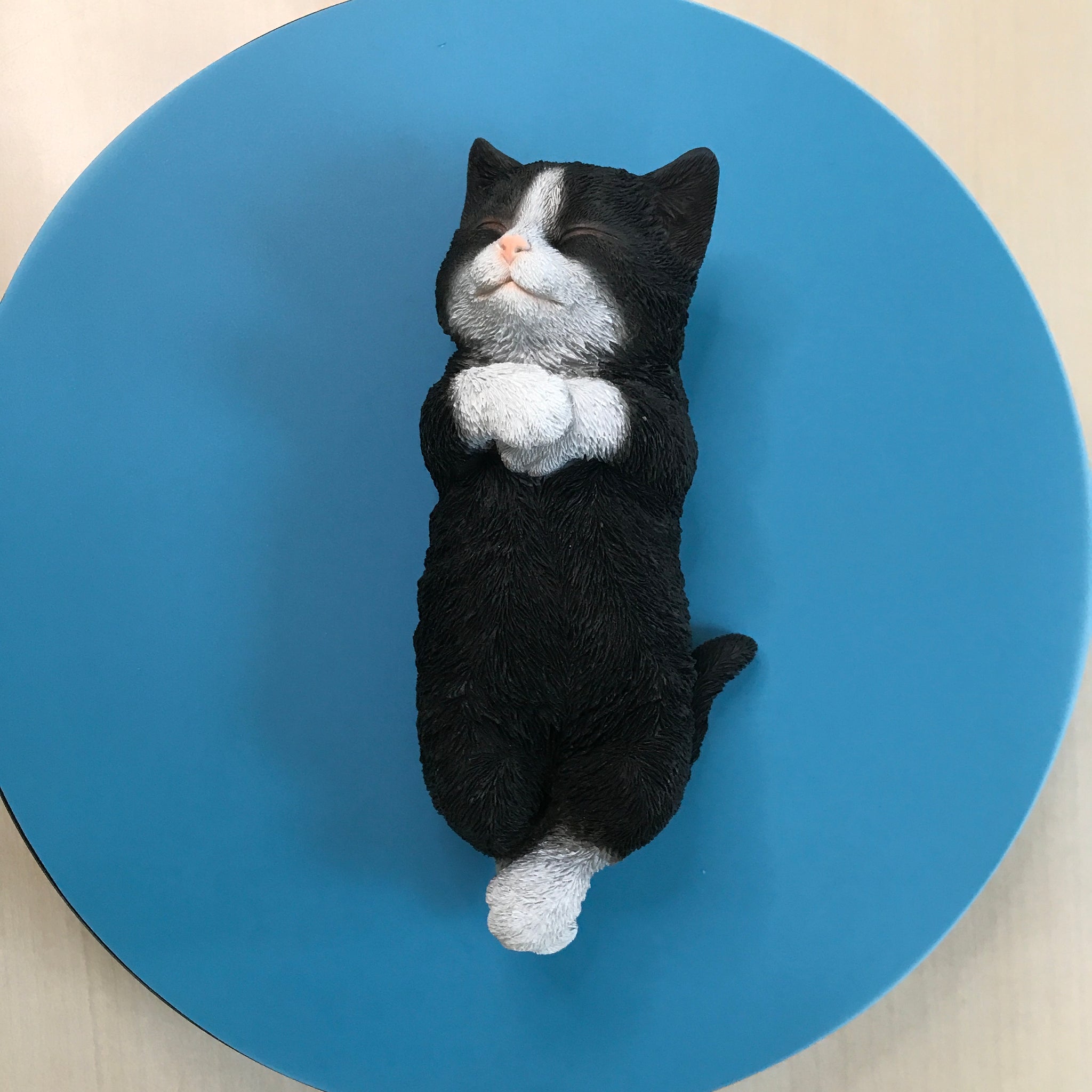 へそ天 ハチワレ黒白猫｜WooBia（ウービア） – CHOOSEBASE SHIBUYA