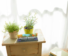 画像をギャラリービューアに読み込む, ⑩【水彩画風景台座】京阪電車　大津沿線（2両用）｜3D　ACDEN（スリーディーアクデン）
