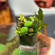 画像をギャラリービューアに読み込む, Ｇｒｅｅｎｌａｎｄ グリーンランド SS ポンポンマム｜GINZA SOBI FLOWERS（ギンザ　ソビ　フラワーズ）

