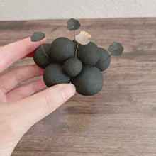 画像をギャラリービューアに読み込む, 炭団オブジェ　／　〇＋黒+ベージュ｜櫂の炭（カイノスミ）
