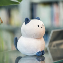 画像をギャラリービューアに読み込む, 箱猫ぬいぐるみ｜HAKONECO（ハコネコ）
