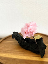 画像をギャラリービューアに読み込む, 優しい桜：炭オブジェ｜櫂の炭（カイノスミ）
