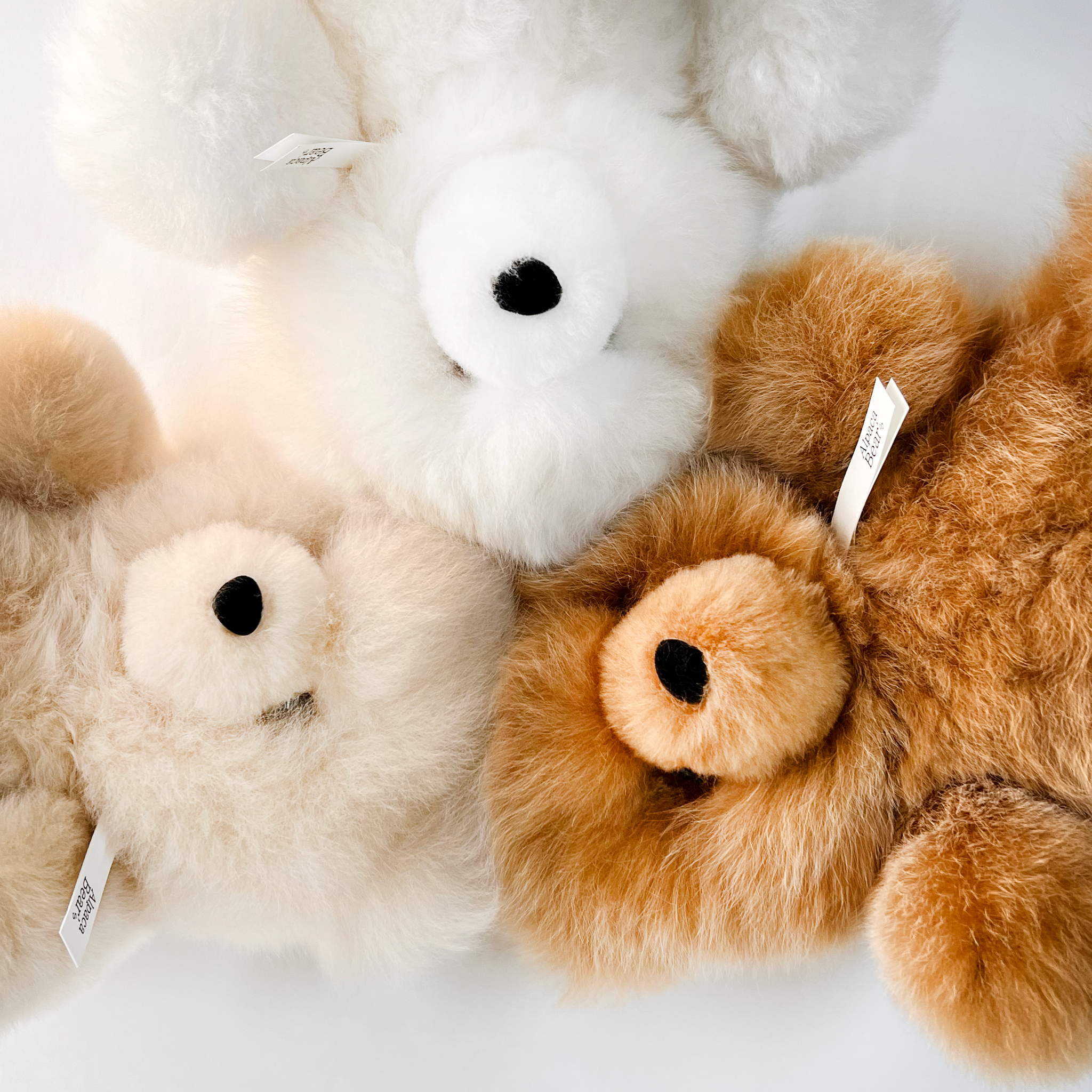 Sit】 アルパカベア テディベア ぬいぐるみ｜Alpaca Bear's（アルパカ