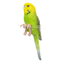 画像をギャラリービューアに読み込む, 縁飾り　黄緑セキセイインコ｜WooBia（ウービア）
