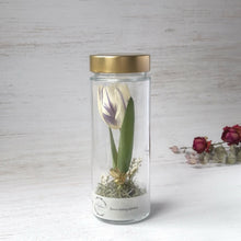 画像をギャラリービューアに読み込む, チューリップのボトルフラワー｜Infini（アンフィニ）
