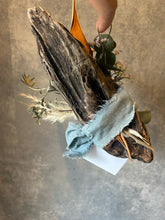 画像をギャラリービューアに読み込む, Hunging Wood Dryflower｜Magnolia（マニョリア）
