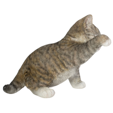 画像をギャラリービューアに読み込む, 猫パンチサバトラ白猫｜WooBia（ウービア）
