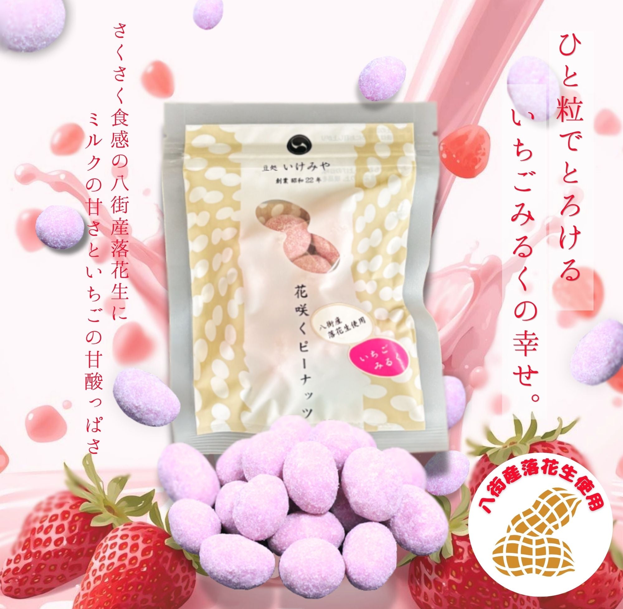 花咲くピーナッツ（3種）｜ラフレストア – CHOOSEBASE SHIBUYA
