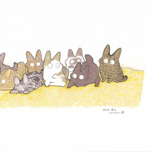 画像をギャラリービューアに読み込む, もちもちねこねこ｜猪猫（イノネコ）
