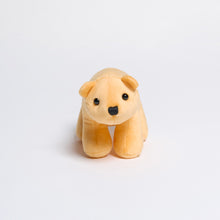 画像をギャラリービューアに読み込む, くまちゅーぬいぐるみ｜KUMAKAWA MARKET/Golden Bear（クマカワマーケットゴールデンベア）

