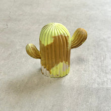 画像をギャラリービューアに読み込む, Cactus Beige｜Green Style（グリーンスタイル）
