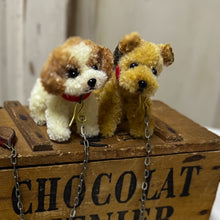 画像をギャラリービューアに読み込む, Miniature dog｜and Bonnie（アンドボニー）
