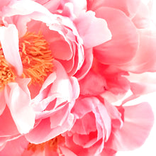 画像をギャラリービューアに読み込む, Sweet Bloom｜フレグランスミスト 50ml｜Lumière Couleur（ルミエールクルール）
