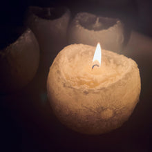 画像をギャラリービューアに読み込む, となりのおつきさま｜とある庭から（トアルニワカラ）
