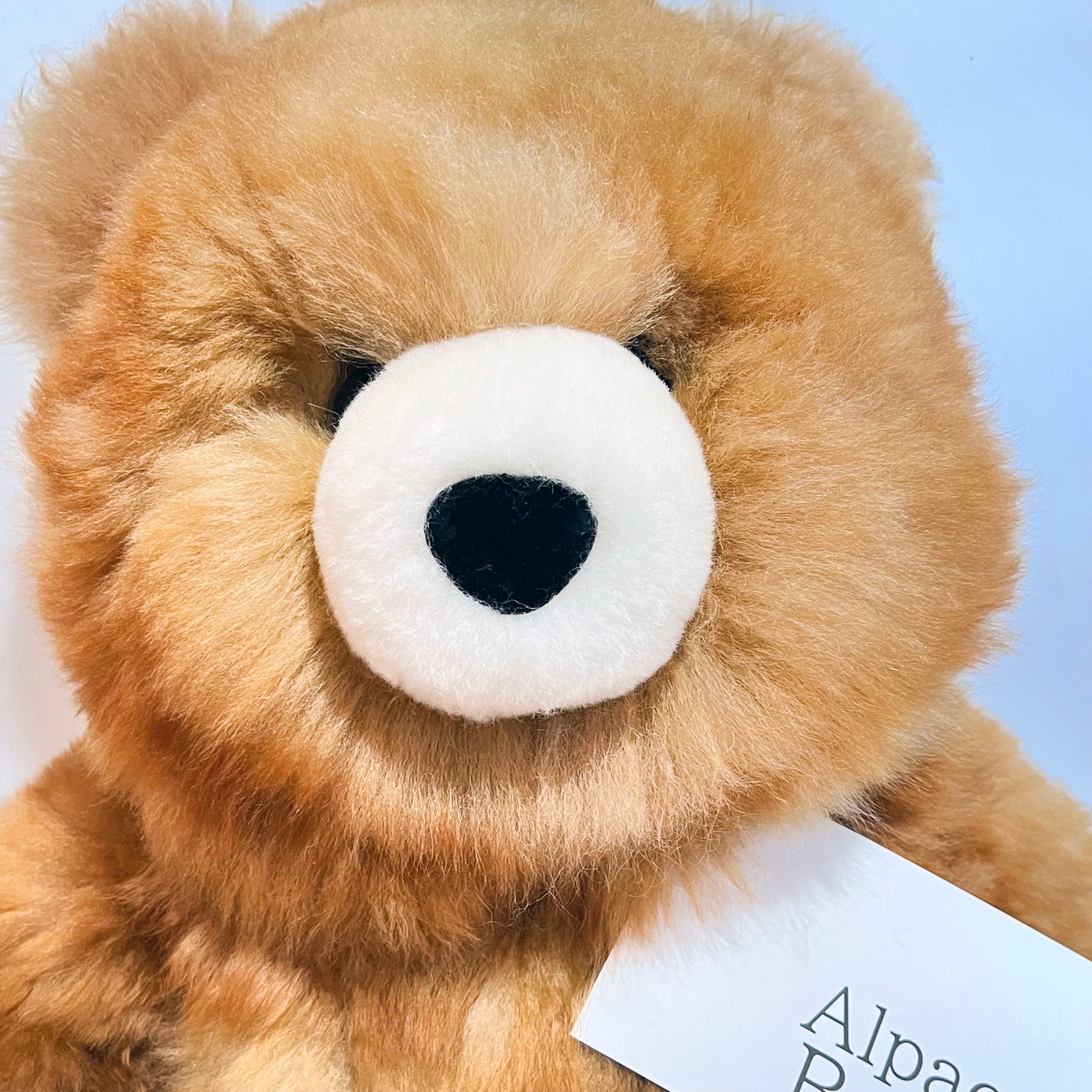 アルパカベア【Big】 テディベア ぬいぐるみ｜Alpaca Bear's（アルパカベアーズ） – CHOOSEBASE SHIBUYA