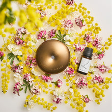 画像をギャラリービューアに読み込む, シマーリング ジンチョウゲ アロマディフューザー専用フレグランスオイル（15ml）｜BÉLAIR LAB（ベレアラボ）
