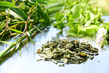 画像をギャラリービューアに読み込む, リラックス｜箱根山麓ハーブTreize13（ハコネサンロクハーブトレーズ）
