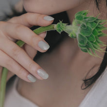 画像をギャラリービューアに読み込む, 20 DEW /1948 NUANCE NAIL COLOR.｜1948- COSMETICS FACTORY.（イチキューヨンハチコスメティクスファクトリー）
