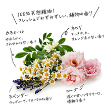 画像をギャラリービューアに読み込む, 空桜｜STEAMCREAM（スチームクリーム）
