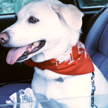 画像をギャラリービューアに読み込む, バンダナ０１　レッド｜DAILYCHOP DESIGN STORE（デイリーチョップデザインストア）
