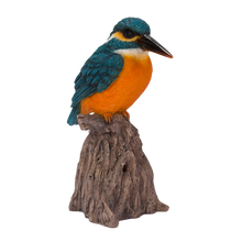 画像をギャラリービューアに読み込む, 切り株に立つ鳴くカワセミ｜WooBia（ウービア）
