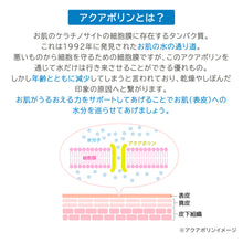 画像をギャラリービューアに読み込む, JLP　モイストコントロールローション ｜JLP（ジェイエルピー）
