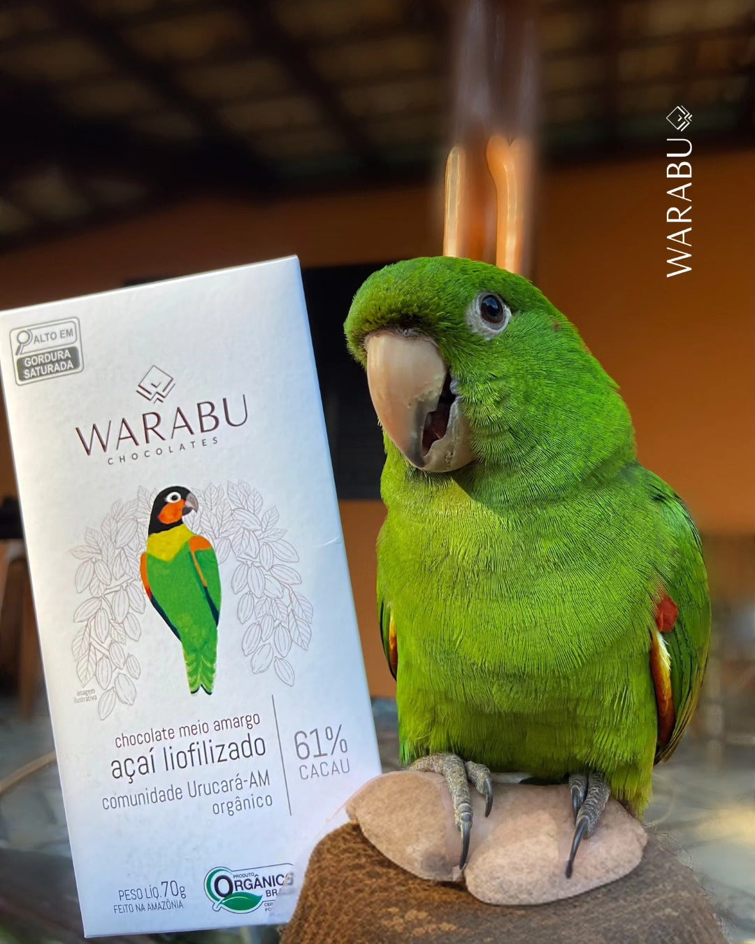 ダークチョコレートバー フリーズドライアサイー 61% | 70g｜WARABU CHOCOLATES（ワラブチョコレート）