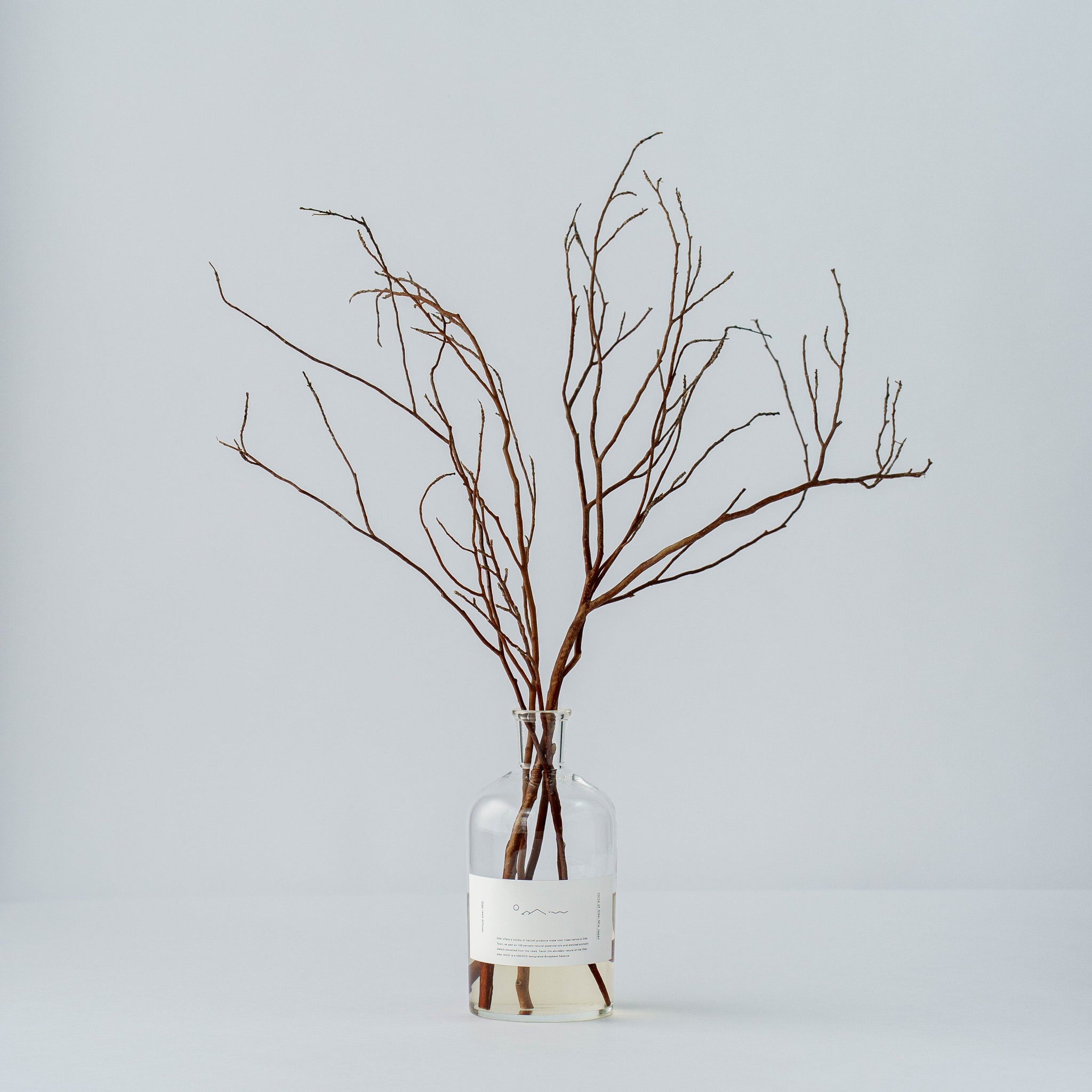 [専用出品]オーダーメイド セットの特別価格 drinkmate 炭酸水メーカー 公式ストア限定セット 水専用モデル