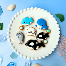 画像をギャラリービューアに読み込む, 海獣缶｜ケーキ工房　アンドンカフェ（ケーキコウボウ　アンドンカフェ）
