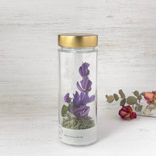 画像をギャラリービューアに読み込む, シクラメンのボトルフラワー｜Infini（アンフィニ）
