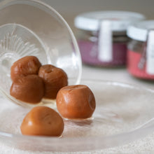 画像をギャラリービューアに読み込む, 完熟梅みのり（南高梅）｜Cocopelli（ココペリ）
