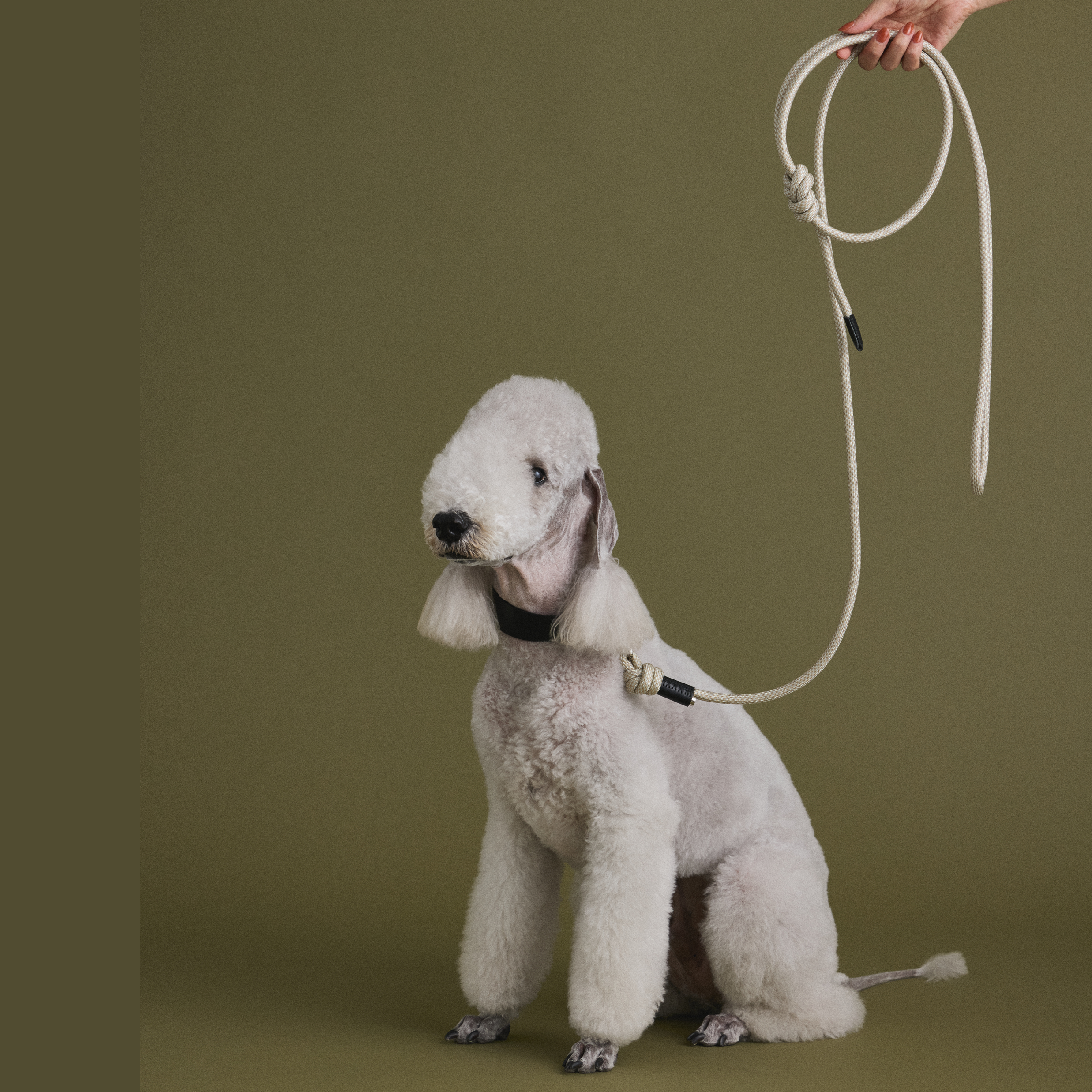 Shoulder Leash（リード）｜INUS（イヌス）